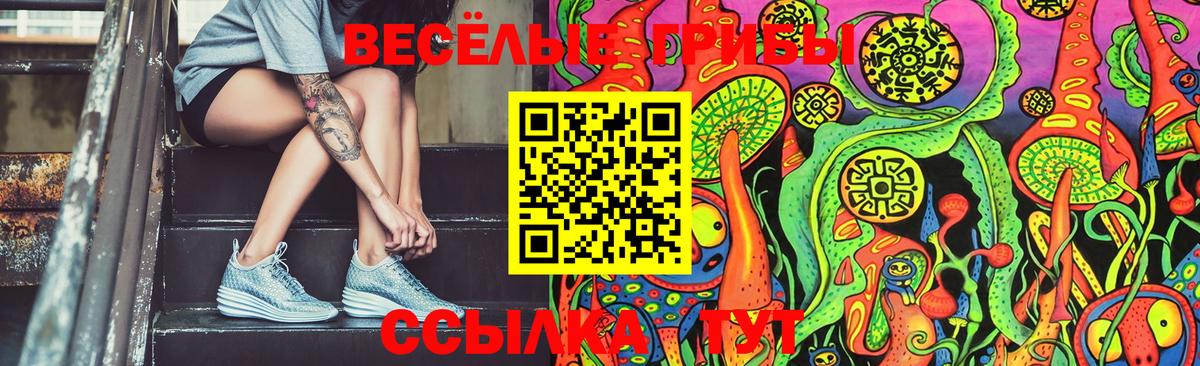 Псилоцибиновые грибы мухоморы Истра