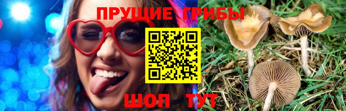 даркнет сайт  Вход с VPN  Истра  Галлюциногенные грибы ЛСД 